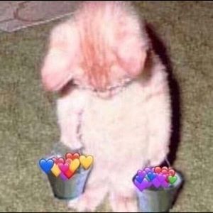 Meet your Posher, Abner